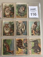 Front side of 8 animal collectible cards in plastic sleeve, showing illustrations of tiger, mandrill, falcon, snake, flying squirrel, and others.