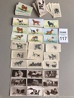 Overview photo showing approximately 110 vintage cigarette cards, featuring colored and black-and-white illustrations of dogs and some cats, arranged in stacks and rows on a neutral surface.