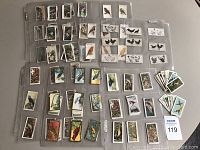 Full view of many collectible bird cards spread in plastic sleeves and loose piles, showing various illustrated bird species from multiple sets.