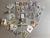 Photo showing multiple vintage animal and fish collectible cards arranged on a flat surface, some in protective sleeves and groups sorted by set type.