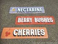 Three vintage hand-painted nursery signage reading NECTARINE, BERRY BUSHES, CHERRIES, placed on asphalt. The signs are rectangular with colored backgrounds and white block letters, showing signs of aging and weather exposure.