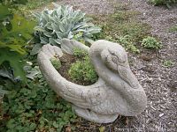 Front angle view showing swan details and soil in planter section with surrounding garden plants.