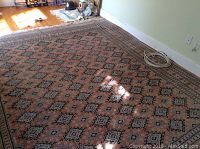 Full view of rug showing overall pattern and condition.