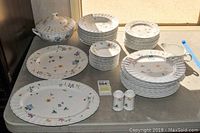 Full set displayed on table showing plates, bowls, tureen, serving platters, gravy boat, and salt and pepper shakers.