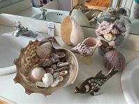 Overview of large assortment of sea shells including large shell bowls filled with smaller shells and a decorative brass fish figurine on a bathroom counter.