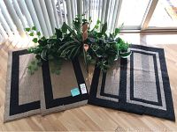 Four rectangular floor rugs arranged side by side, beige center with dark border, lying on a wooden floor, next to a bunch of artificial greenery.