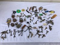 Full overview of entire assortment including keys, padlocks and keychains spread on white cloth