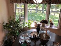 Wide view showing live plants near window, table with silver dish and dark vase.
