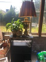 Photo showing a brass lamp with pleated brown shade on top of a black cart by a window, next to a live plant in a basket and other small decorative items.