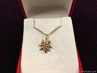 Necklace displayed in red presentation box, showing front view of star pendant on chain
