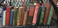Wide view of all 17 vintage hardcover books arranged on shelf showing variety of spine colors and conditions.