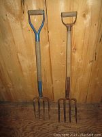 Two pitch forks leaned against wooden wall, showing wooden handles and metal tines.