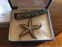 Two brooches displayed inside a blue jewelry box with cream colored lining; one is a starfish shape with stones and the other a tube shaped brooch with enamel decoration.
