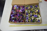Two open cardboard boxes filled with individually separated small silk flower circles in purple, yellow, white, and pink tones.