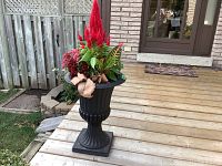Large black resin urn-shaped planter on wooden deck, filled with multiple ornamental plants including celosia and croton.