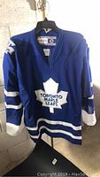Full front view of blue Toronto Maple Leafs hockey jersey with logo and stripes on sleeves/hem.