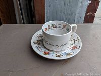 Fortune telling cup and matching saucer on grey surface showing colorful symbols and black cursive text on cup.