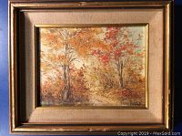 Framed oil painting of autumn maple trees with textural oil brushwork, signed lower right 'Trudy Doyle' dated 1978.