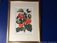 Framed print showing whole artwork with matting and frame against dark background