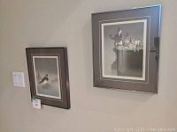 Photo showing two framed watercolour bird paintings mounted on a wall.