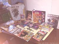 Full view of the lot items laid out including Star Wars books, Captain Underpants books stacked, LEGO alligator, band t-shirts, and magazines.