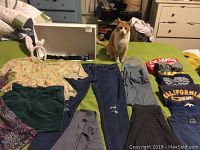 Bed with various girls and women's clothing including jeans, skirts, blouses, dresses, shirts, and accessories with a cat sitting nearby