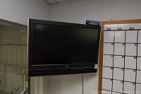 Maxent 32 inch flat screen TV mounted on wall adjacent to a calendar.