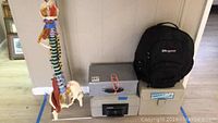 Side view of anatomical spine model with lock boxes and backpack