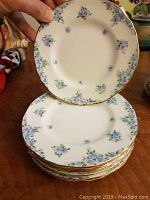 Photo of the stack of 8 fine bone china cake plates showing the floral pattern and gold trim on edges