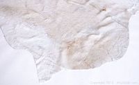 Close-up of white cowhide showing texture and minor discoloration