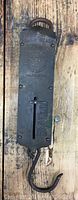 Metal fish family scale hanging vertically on wood background with handle at the top and hook at the bottom, showing the scale face and measurement slot.