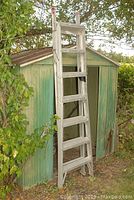 7 ft aluminum extension ladder leaning against a green metal shed outdoors near some bushes.