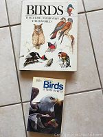 Photo of the front covers of the two bird books, showing detailed bird illustrations and titles.