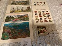 Top-down view of six educational nature prints and a small box of used stamps on a lace cloth.