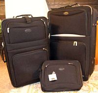 Three black fabric softside luggage bags standing upright on carpeted floor against a wood paneled wall. Zippers and handles visible, sizes 20x30, 17x26, 12x16 inches.