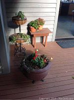 Photo showing entire plant grouping on deck: large ceramic pot with flowers on caster wheels on floor, two-tier metal plant stand with two pots and plants, two small terracotta pots on small redwood table.