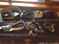 Photo showing multiple belts of various colors and materials: black, tan, white with different buckle and concho designs.