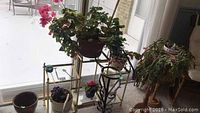 Photo of five plant stands including wooden, metal, wicker horse-shaped, and glass tiered stands near window with potted plants placed on some stands