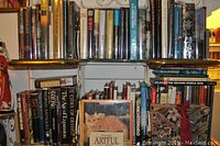 Two shelves densely packed with assorted hardcover and paperback books, varying in size and subject matter including history and art.