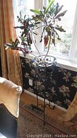 Tall black metal plant stand holding leafy plant next to window with floral wallpaper background.