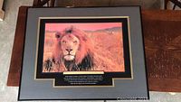 Framed lion print titled 'The Essence of Survival' showing lion with dry grassy background and pink sky, framed in a dark wooden frame with gold bordered black matting.