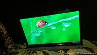 Acer all-in-one touchscreen desktop powered on, displaying lockscreen with ladybug and water droplets.