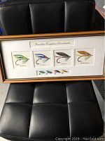 Framed fly fishing display artwork showing detailed fly illustrations with names