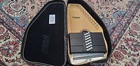 Autoharp lying inside open black hard case showing instrument and interior of case.