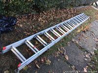 Extended full length view of the aluminum ladder placed on ground with leaves around.