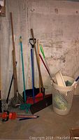 Photo showing assortment of garden and cleaning tools standing against wall, including shovels, rakes, brooms, dustpan and white plastic hamper with additional items inside.