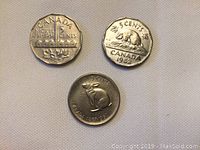 Reverse sides of 1951 and 1952 Canadian nickels showing beaver designs and 1967 nickel showing a rabbit design