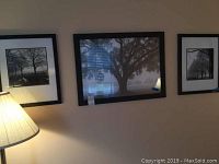 Three black-and-white framed landscape photos on a wall with a lamp nearby. Central photo features a large tree silhouette.