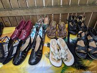 Gently used women's shoes and sandals in size 10 displayed on wooden surface, various styles and colors including black, burgundy, floral and beige.