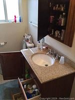 Bathroom sink vanity with beige granite countertop, soap dispenser, and open cabinet drawers showing cleaning and personal care supplies.